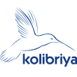 запчасти KOLIBRIYA в Нижнем Новгороде запчасти KOLIBRIYA в Нижнем Новгороде