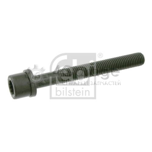 FEBI BILSTEIN 06666 Болт головки цилиндра