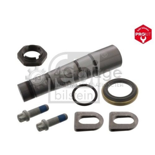 FEBI BILSTEIN 45688 Ремкомплект шкворень поворотного кулака ProKit