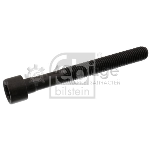 FEBI BILSTEIN 07978 Болт головки цилиндра