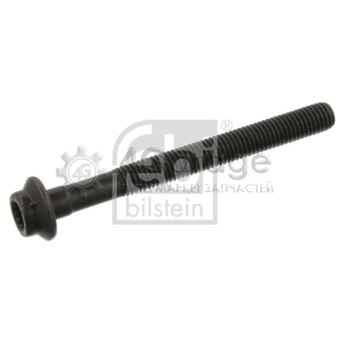 FEBI BILSTEIN 02950 Болт головки цилиндра