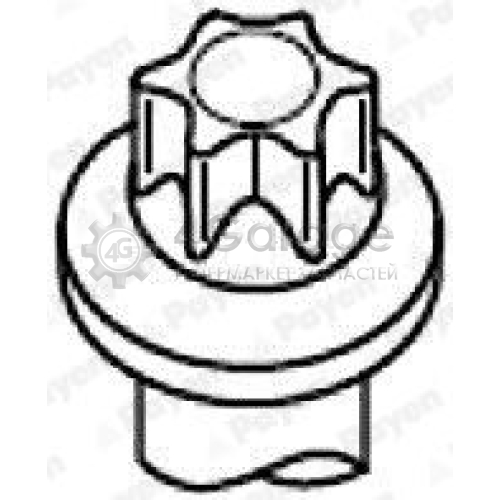 PAYEN HBS005 Комплект болтов головки цилидра