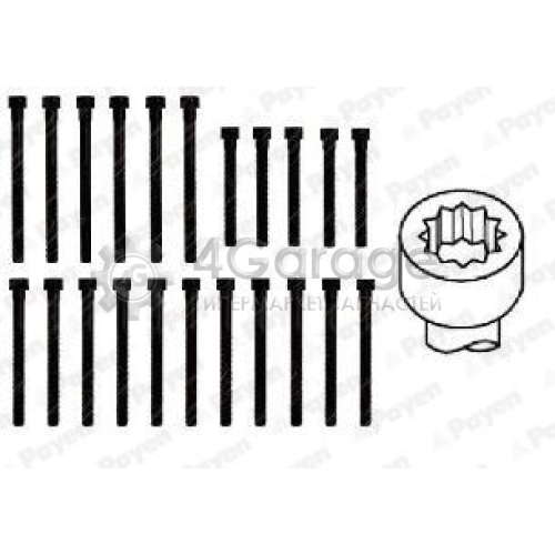 PAYEN HBS059 Комплект болтов головки цилидра