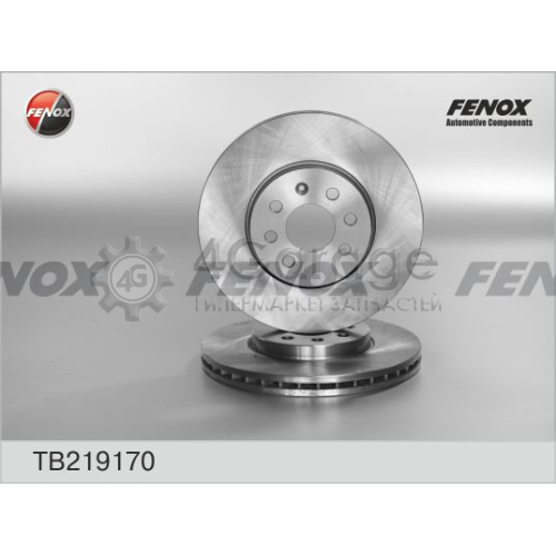 FENOX TB219170 Тормозной диск