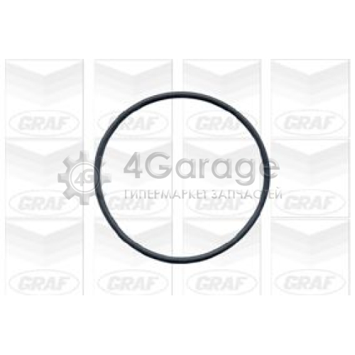 Водяной насос GRAF PA591 в Москве