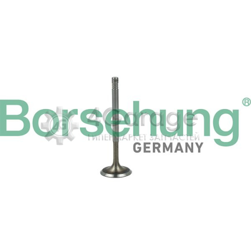 Впускной клапан Borsehung B19019 в Москве