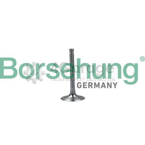 Впускной клапан Borsehung B19028 в Ростове-на-Дону