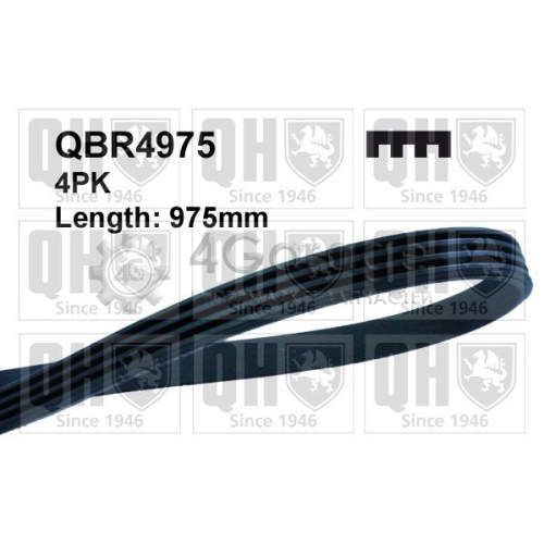 QUINTON HAZELL QBR4975 Поликлиновой ремень в Красноярске