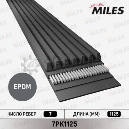 MILES 7PK1125 Ремень поликлиновой 7PK1125