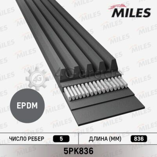 MILES 5PK836 Ремень поликлиновой 5PK836