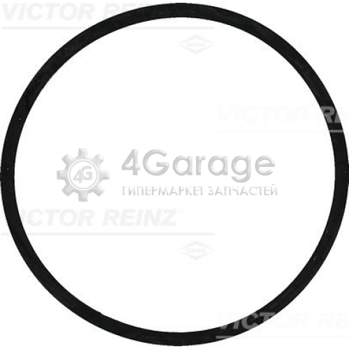 Уплотнительное кольцо VICTOR REINZ 407744200 в Нижнем Новгороде