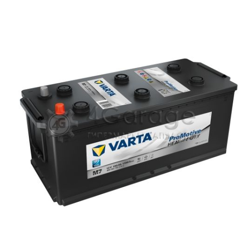 VARTA 680033110A742 Стартерная аккумуляторная батарея - ProMotive HD