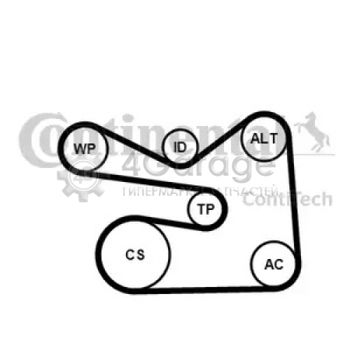 CONTITECH 6PK1733K3 Комплект поликлинового ремня