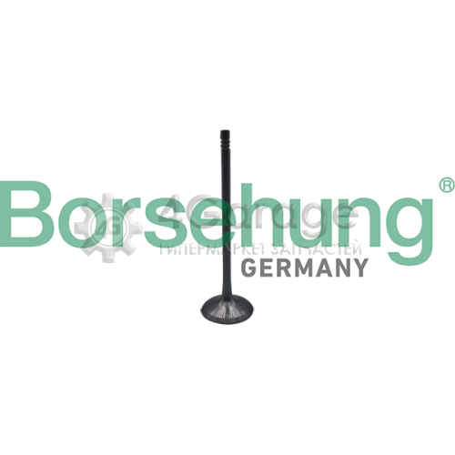 Впускной клапан Borsehung B10323 в Нижнем Новгороде