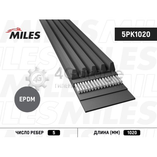 MILES 5PK1020 Поликлиновой ремень