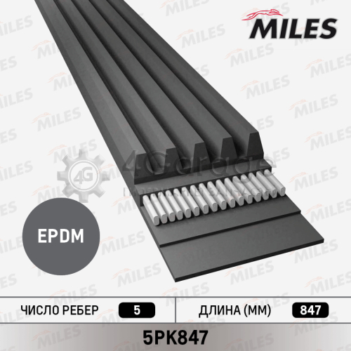 MILES 5PK847 Поликлиновой ремень