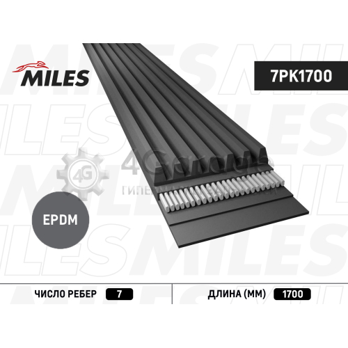 MILES 7PK1700 Ремень поликлиновой 7PK1700