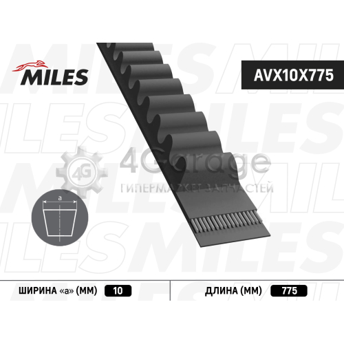 MILES AVX10X775 Ремень клиновой 10X775