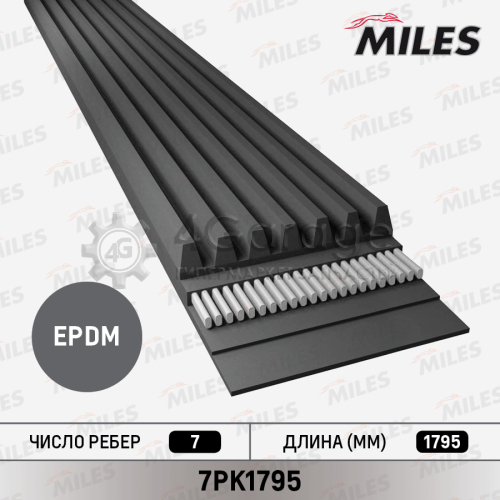 MILES 7PK1795 Ремень поликлиновой 7PK1795