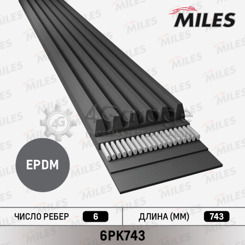 MILES 6PK743 Поликлиновой ремень