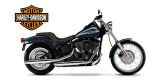 Запчасти на HARLEY-DAVIDSON MC 100th ANNIVERSARY EDITION 1450 Dyna Super Glide 100th Anniversary