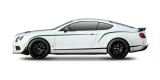 Запчасти на BENTLEY CONTINENTAL купе (3W_) 4.0 FLEX